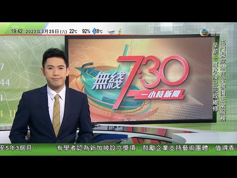 無綫7:30 一小時新聞 TVB News｜美國空襲敘利亞親伊朗設施｜世界五百強企業領袖出席中國發展論壇 蘋果CEO讚中方創新發展迅速｜中國汽車運輸船供不應求 有國內生產商買船自組｜20230325