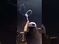 Use this magic wand water gun to water flowers in summer