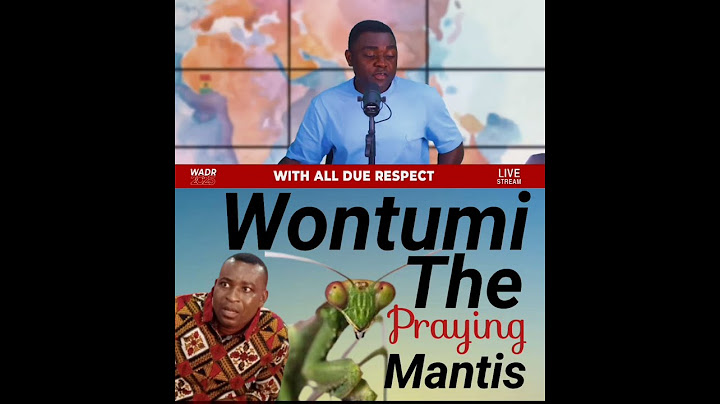 Chairman Wontumi: The Praying Mantis of NPP