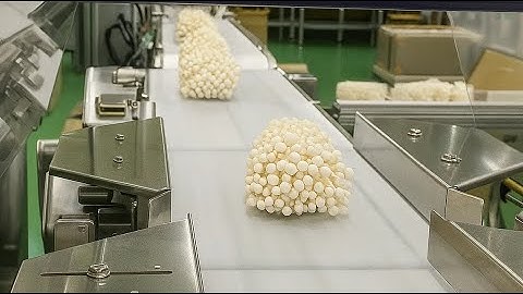 Automatic Checkweigher for Enoki Mushroom Production Line | Food Packaging & Quality Control System