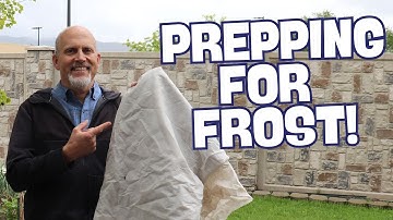 6 Tips to Prepare Your Garden for Your First Frost