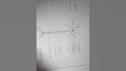 class 9 Biology  (14th week)assignment