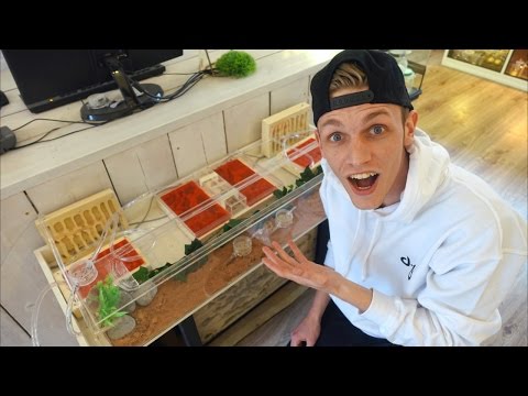 GIGANTISCHE MIEREN BOERDERIJEN! - MILANKNOL VLOG #183