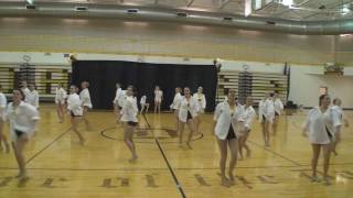 Davis High D'Ettes 2011  - Skydive (Lyrical)