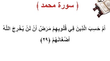 سورة محمد الأية 29
