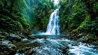 Tranquil Forest Waters: River & Waterfall Sounds for Sleep, Focus and Peace 🌿💦