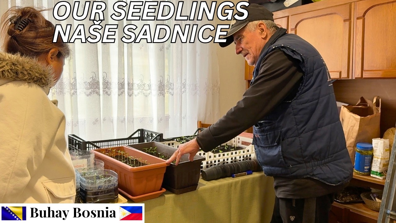 Počnimo s pripremom sjemena povrća | Let's start preparing our vegetable seeds