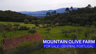 FUNDAO MOUNTAIN OLIVE FARM - FOR SALE CENTRAL PORTUGAL, CASTELO BRANCO