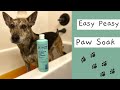 How To Give An Easy Peasy Paw Soak