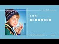 120 sekunder om Ensam hemma 2