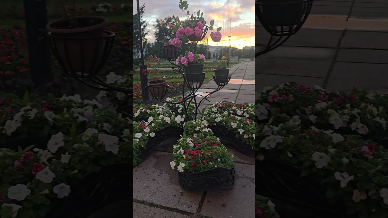 Бехтарин Суруди Эрони нав  2024 