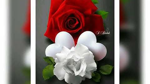 صوت رائع جدا بصوت الشيخ أبو جعفر مقطع رائع من سورة المؤمنون