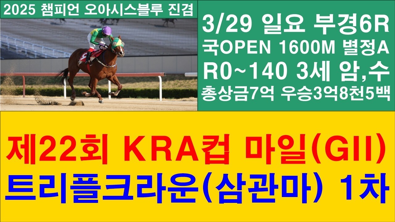 KRA컵 마일 대상경주#분석방송#경마장 심마니 박달재