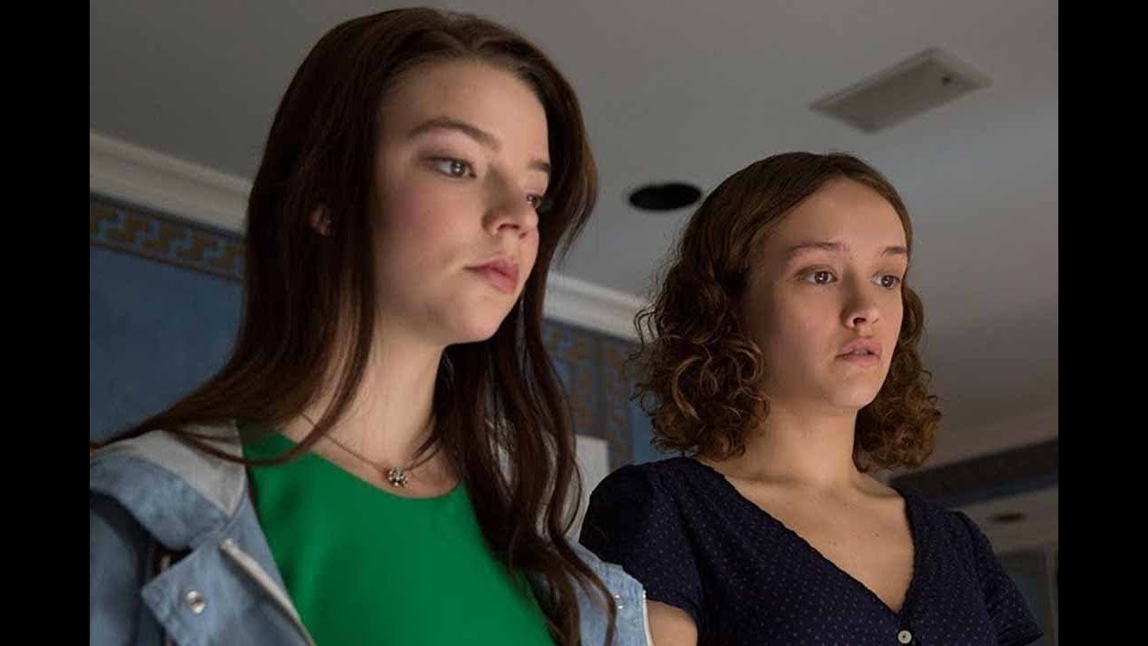Quickie: Thoroughbreds
