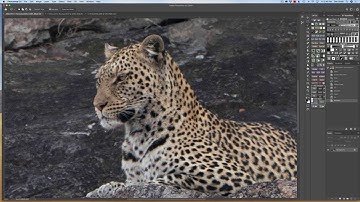 Amazing Results with Topaz DeNoise AI, Sharpen AI and Gigapixel AI