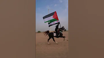 هو انت قد الاحرار قد السورية هو انت قد الاحرار قد الفلسطينية 