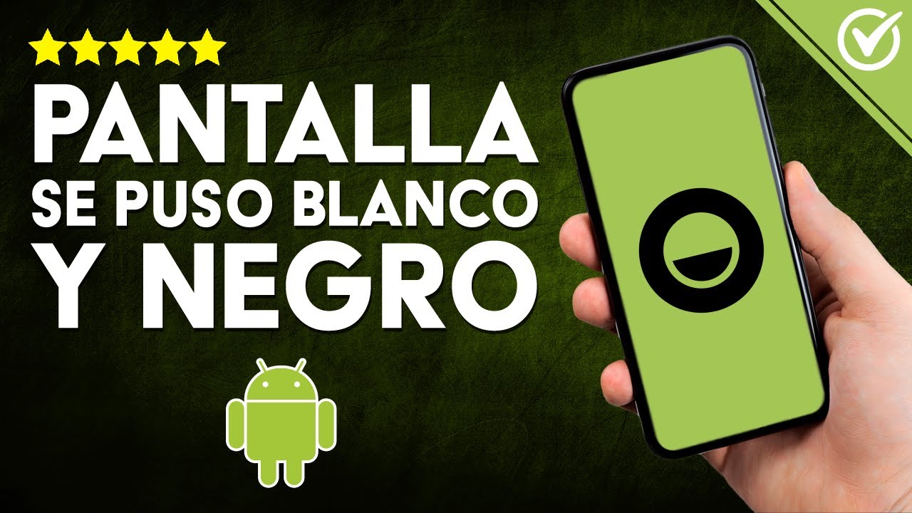 Cómo SOLUCIONAR la PANTALLA de tu Celular que se puso en BLANCO y NEGRO
