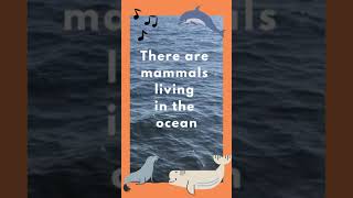 Mammals in the Ocean