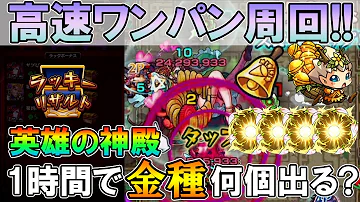 木 神殿 時の間 木 神殿 時の間