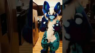 Blue Wolf Is Ready To Get Fit! - Furry Tiktok FurrSymphony MoreFurLess Fursuit Fullsuit Fursuiting Blue Wolf Is Ready To Get Fit! - Furry Tiktok FurrSymphony MoreFurLess Fursuit Fullsuit Fursuiting