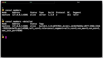 Getting Started with Consul: Run the Consul Agent