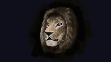 Procreate time lapse video: Drawing of a realistic Lion