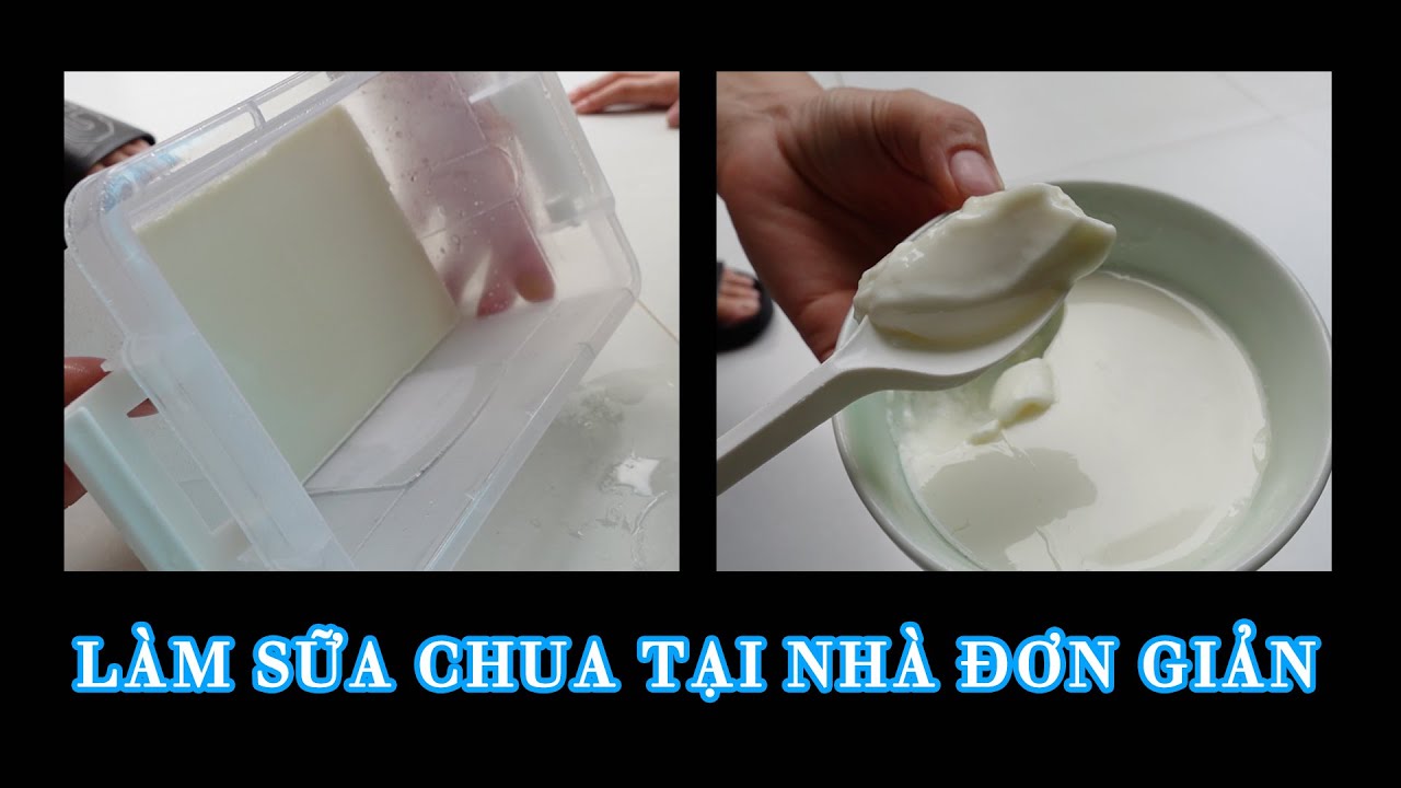 Làm sữa chua tại nhà đơn giản, đạt chuẩn. Homemade yogurt