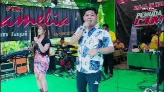 PUPUSING NELONGSO -ECHA FT EHA-CAMELIA PELAN TAPI PASTI - HALAL BIHALAL PEMUDA CINGRU BERSATU - PATI