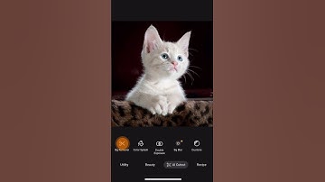 Background remover#bgremover #bgremove #backgroundremover