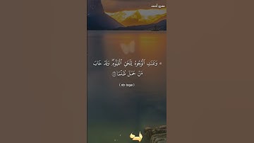 و خشعت الأصوات للرحمن ❤️ سورة طه | عمرو أحمد #اكسبلور #القرآن_الكريم #راحة_نفسية #لايك