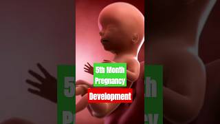 Baby Development in 5th Month of pregnancy #5thmonthpregnency #pregnant #fetusdevelopment