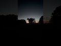 Wait for it