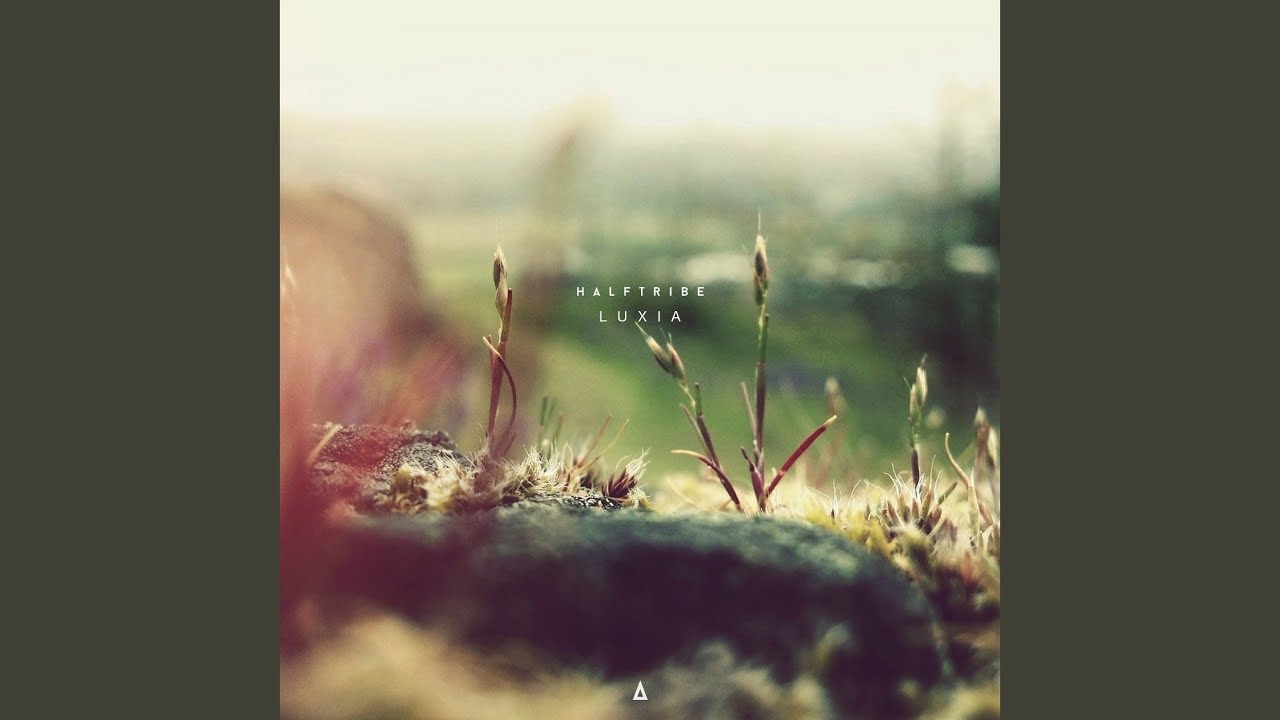 Watch Butterfly (Warmth Remix) on YouTube