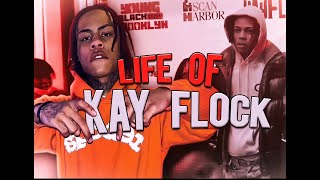 Life Of #kayflock vlog