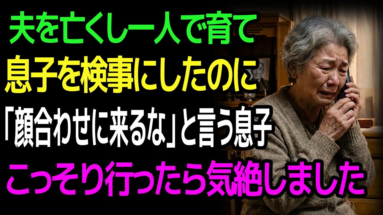 夫を亡くし一人で育て 息子を検事にしたのに 「顔合わせに来るな」と言う息子 こっそり行ったら気絶しました