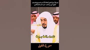 سورة الفيل #القارئ الوليد الشمسان