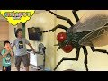 Giant fly attacks toddler  skyheart and daddy pest fight battle insect toys kids