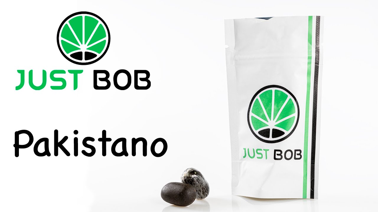 Pakistano CBD - Hachis Legal cbd - JustBob SPA