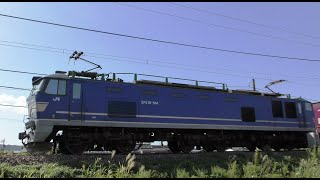 EF510-514牽引高速貨物【4K】信越本線下り4095ﾚ