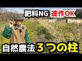 自然農法がうまくいかない人の共通点とは？【三つの柱】