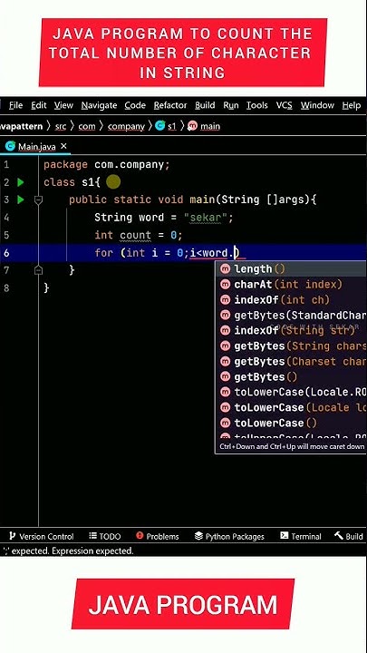 count the total number of character in string java program | java ...