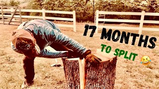 Fun Little Log Splitting Video 🤣 #outdoors #firewood #stubborn by Randy Doman Outdoors 555 views 6 days ago 4 minutes, 29 seconds