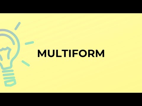 What is the meaning of the word MULTIFORM?