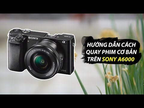 Video: Nút quay phim trên Sony a6000 ở đâu?