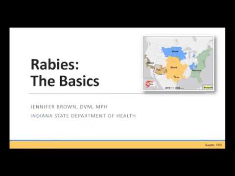 Video: Rabies Vaccine Waivers for Dogs: What to Know