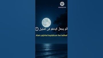 سورة الفيل | ياسر الدوسري#قران_كريم
