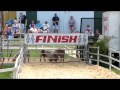 Pig racing at the Troy Fair - part 1
