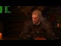 The Witcher 3 (TW3) - SLI EVGA GTX 980 SC ACX 2.0 - 1440p Ultra Gameplay Performance