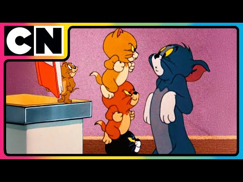 Tom and Jerry