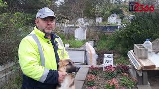 Vefat Eden Sahibinin Mezarından 48 Gündür Ayrılmıyor Resimi